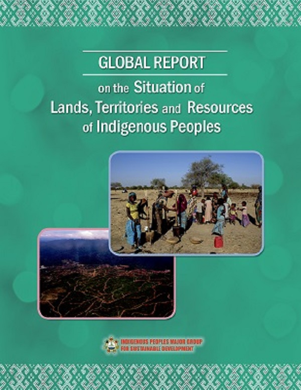 Global Report on the Situation of Lands, Territories and Resources of Indigenous Peoples