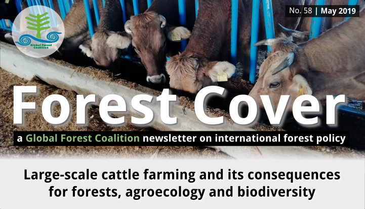 Forest Cover 58 – newsletter from the Global Forest Coalition