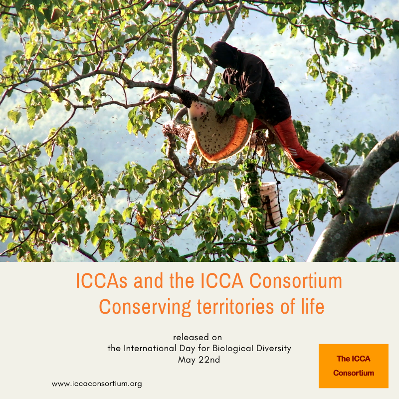 Our New Film released: ICCAs and the ICCA Consortium – Conserving territories of life