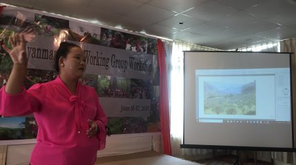 ICCA-Myanmar-2019 (6)