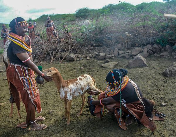 African Dialogue on Alternatives to Unsustainable Livestock Production