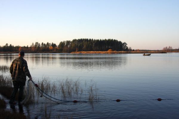 Koitajoki River Documented in a New Seining Film