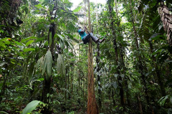 Playa de Oro, Territorio de Vida Donde el Bosque Cobija la Libertad