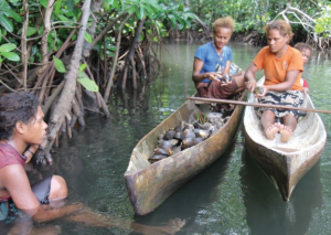 Are small-scale fishers in or out of the blue economy? - Community Fisheries  - ICCA Consortium