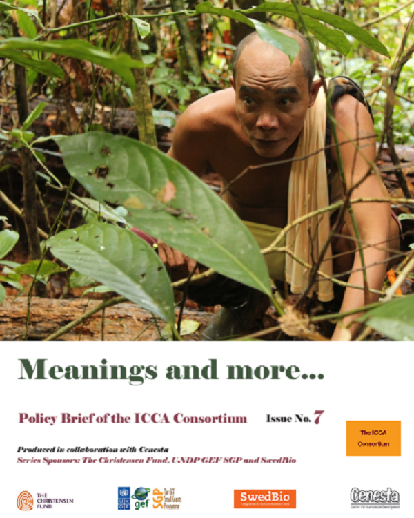 ICCA Consortium Policy Brief no 7 – Meanings and More…