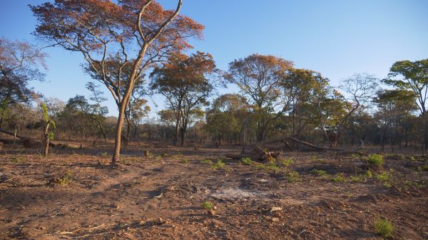 Water Flowing Up the Mountain: Development Devours Forest Reserve