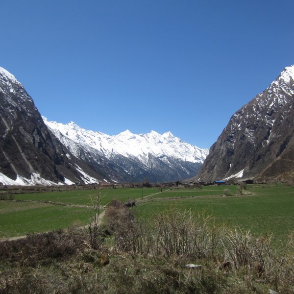 100 Years of Declaring Non-Violence in the Tsumba Territory of Life in the Nepalese Himalaya