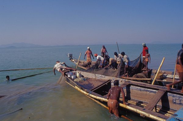 Webinar: What Do OECMs Mean for Territories of Life?