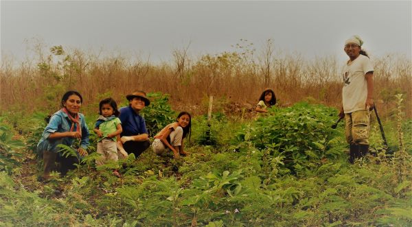 Desde los Territorios de Vida Mayas: Esta Pandemia Resalta Tanto Nuestras Carencias Como Nuestras Fortalezas y Estrategias