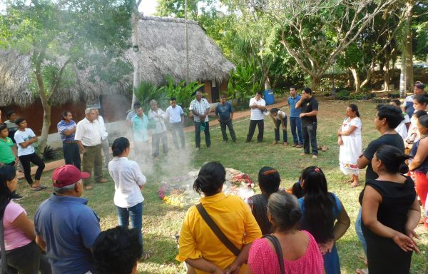 Protocolos Comunitarios Ante El COVID-19, Ejercicio De Nuestros Derechos Y Cuidado De La Vida Ancestral De Nuestros Pueblos Indígenas