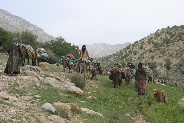 COVID-19 Places Iran’s Nomadic Pastoralists at a Crossroads