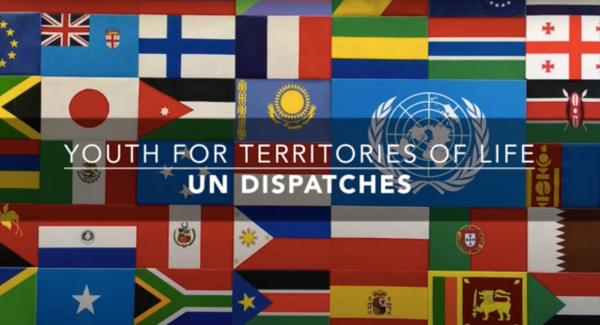 UN Dispatches: Short Film on Youth Perspectives on Global Biodiversity Negotiations