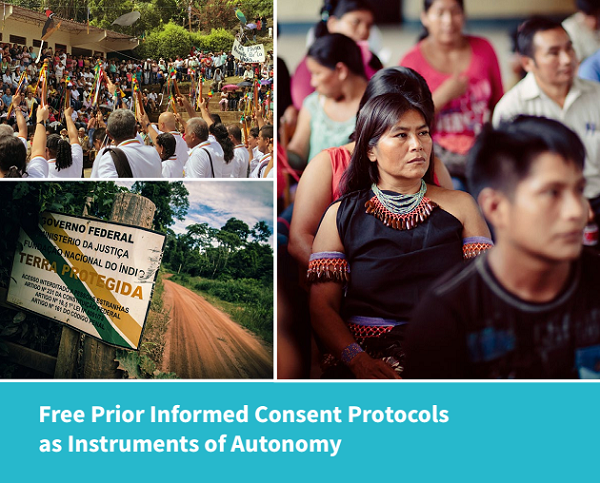 Defining Consent: Indigenous Peoples Reclaiming Decision-Making Authority and Governing Territories Through FPIC Protocols