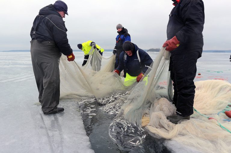 New study reviews Finnish aquatic traditional knowledge