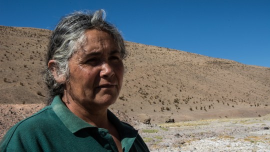 Protecting Indigenous lands: lessons from Chile