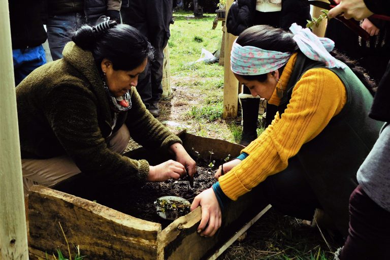 Lake Budi: an initiative for biocultural restoration led by Mapuche-Lafkenche communities