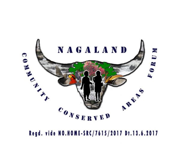 NCCAF