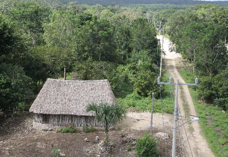 Foros en línea para fortalecer los territorios de vida en México