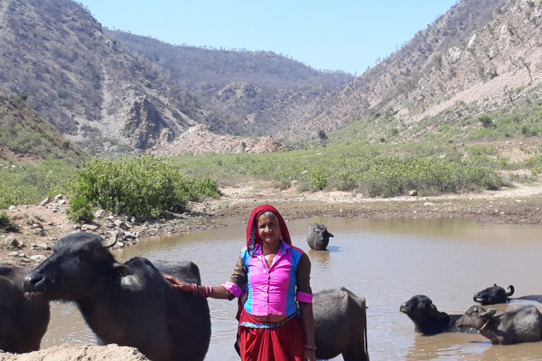 Orans: Sacred community-conserved areas in Rajasthan, India