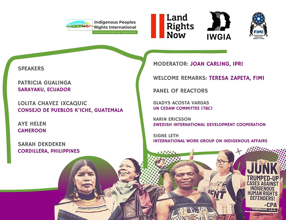 Webinar recap: Indigenous women at risk for defending their lands, rights and dignity