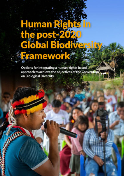 Integrating human rights into the post-2020 global biodiversity framework