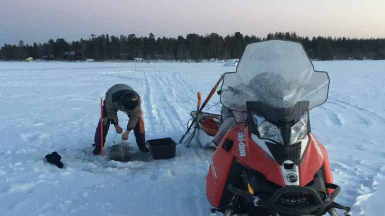 Indigenous peoples’ food systems: Inari Sámi and Snowchange share key messages