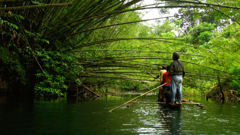 Indigenous leader advocates for rights and territories of life at ASEAN biodiversity conference