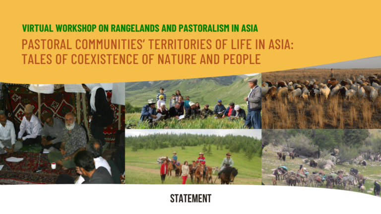 Statement from the virtual workshop on rangelands and pastoralism in Asia