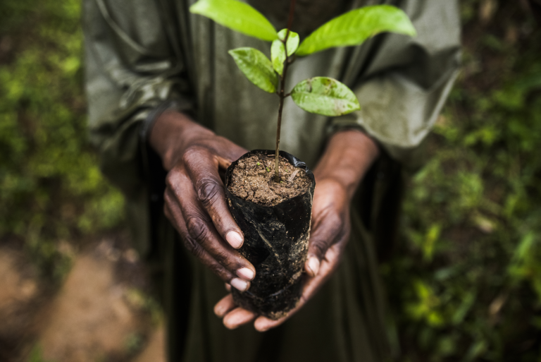 New guidance on integrating human rights into the global biodiversity framework