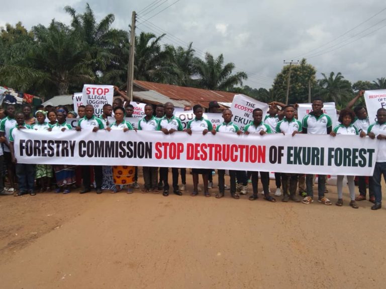 Alerte: La communauté Ekuri s’oppose à l’abattage illégal de sa forêt coutumière au Nigéria