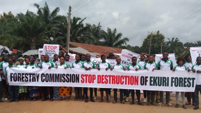 Alert: Ekuri community confronts illegal logging in their customary forest in Nigeria