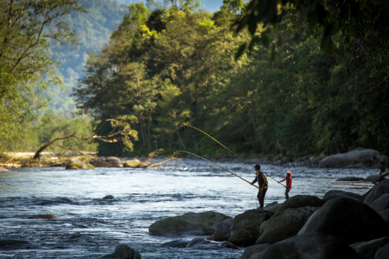 The Fight for the Forest: Indigenous Peoples in Burma speak out on threats following the February military coup