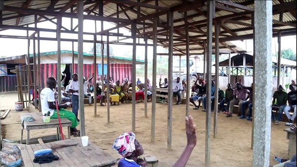 The last stand? Community in Gabon calls on government to halt logging of their sacred forest, a unique and historic initiative