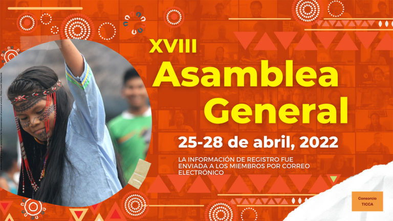 Preparativos para la XVIII Asamblea General (en línea)