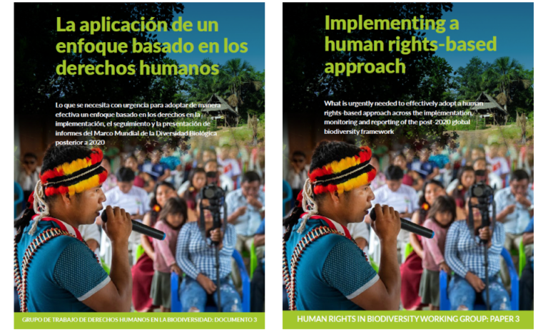 Implementing a human rights based approach: A briefing for the post-2020 Global Biodiversity Framework