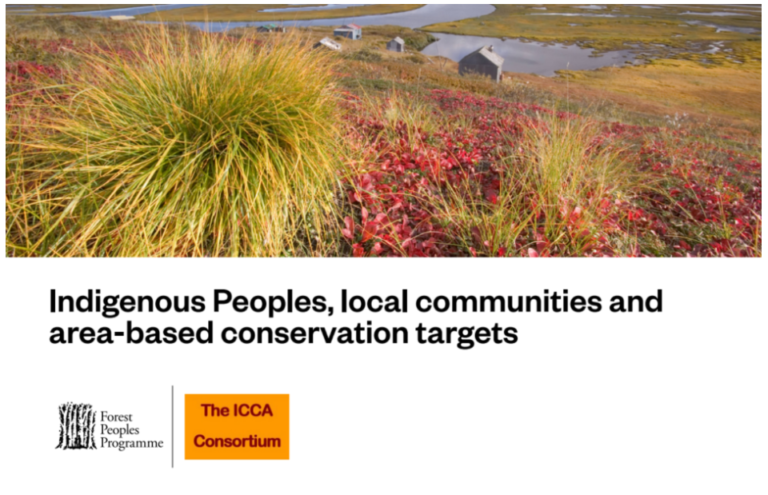 Briefing: Indigenous Peoples, local communities and area-based conservation targets