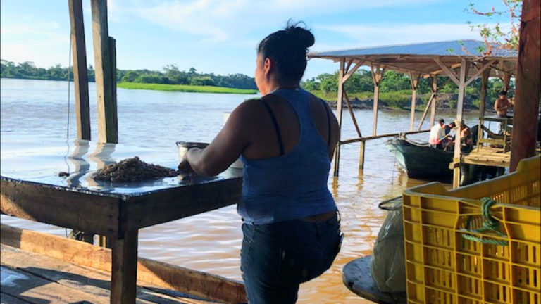 Fortalecimiento de los territorios de vida marino-costeros en Mesoamérica