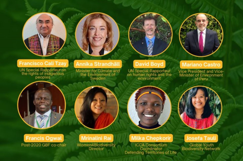Reimagining conservation: Integrating human rights in the development and implementation of the post-2020 Global Biodiversity Framework