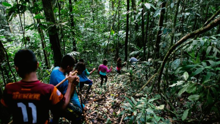 Declaración de solidaridad en el Día Internacional de la Diversidad Biológica 2022