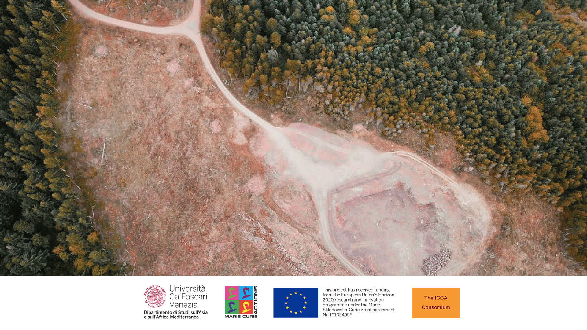 Green investment: Transformative change in conservation or financialization of nature?