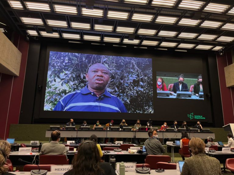 A tentative turning point: Recap of UN CBD negotiations in Geneva