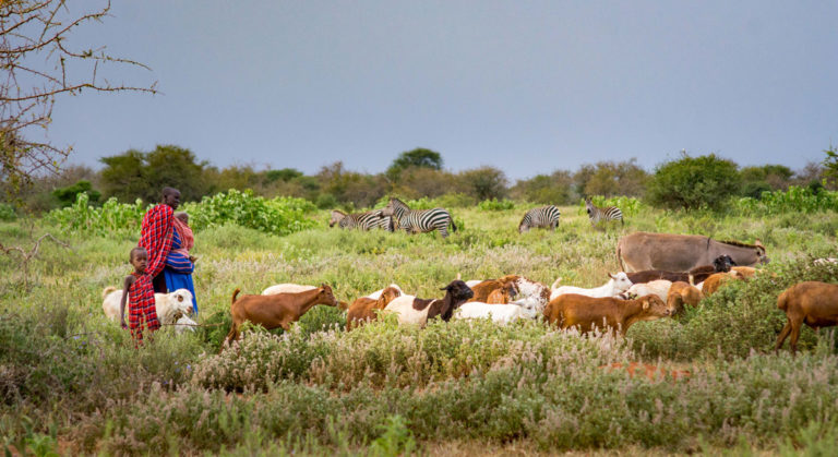 Des représentants autochtones et communautaires d’Afrique dénoncent les injustices historiques et persistantes commises au nom de la conservation et formulent des demandes claires lors du congrès régional sur les aires protégées