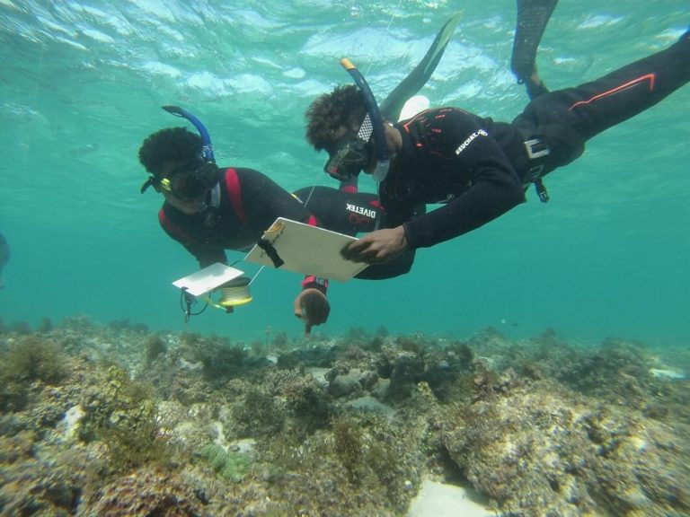 Local diving and ecological monitoring teams bring new hope for marine conservation in Madagascar