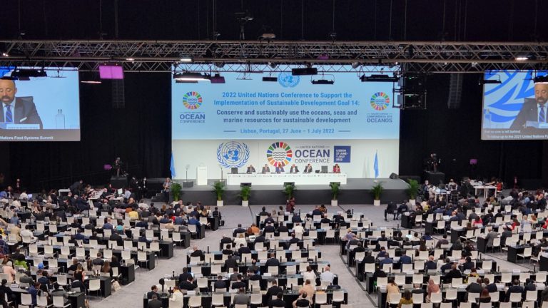 Image for Réflexions sur la Conférence des Nations Unies sur les océans 2022 : Un long chemin à parcourir