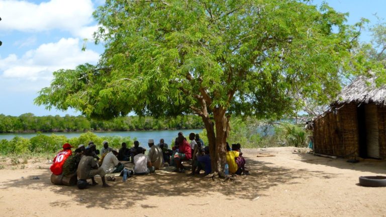 UNGA Declaration on the Right to a Clean and Healthy Environment and what this could mean for us in Africa