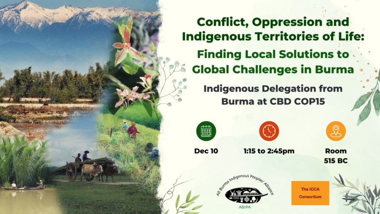 Conflict, oppression, and Indigenous territories of life: local solutions to global challenges in Burma