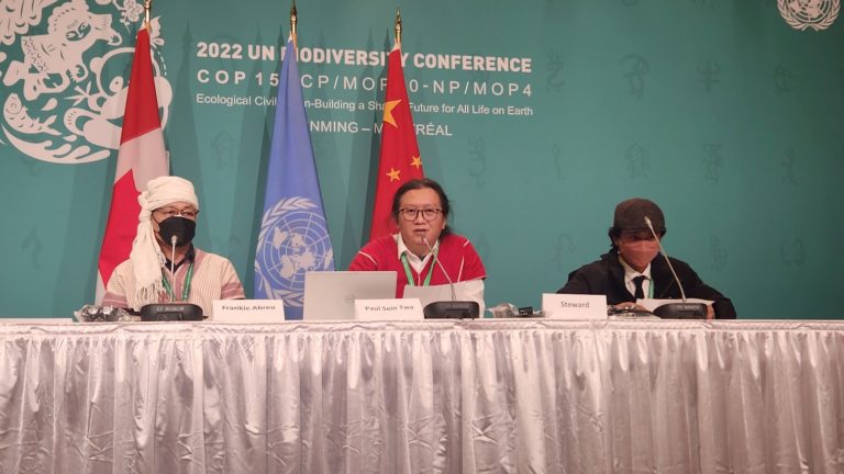 Local Indigenous solutions to global challenges: A statement by the Indigenous delegation from Burma/Myanmar to COP15