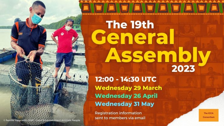 Image for Preparing for the 19th General Assembly (online)