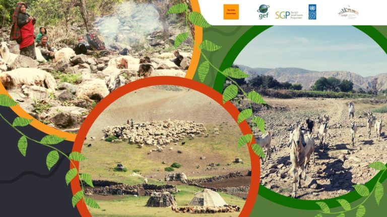 Résumé de l’atelier « Pastoralisme et pâturages : vers une initiative mondiale pour les territoires de vie pastoraux »