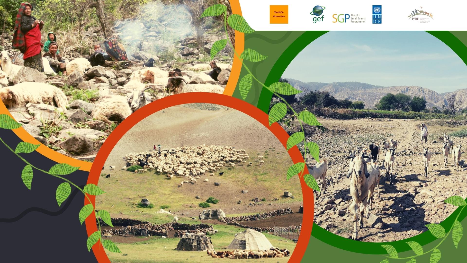 Recap of “Rangelands and Pastoralism: Towards a Global Initiative for Pastoralists’ Territories of Life” workshop